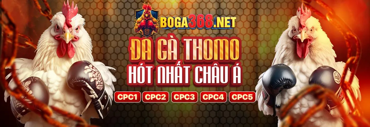 Hình ảnh chính về cá cược có trách nhiệm của vic88 nhà cái
