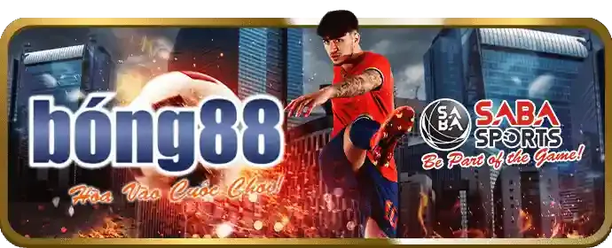 Hỗ trợ khách hàng 24/7 vic88 nhà cái